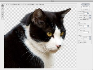 e7b7a8e99b86e4b8ad2 300x226 Adobe Photoshop CS4で抽出フィルタを使う