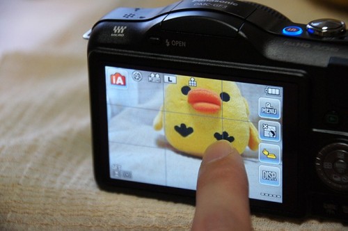 SONY DSC