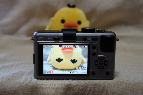 SONY DSC