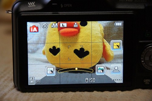 SONY DSC