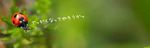 bloghead